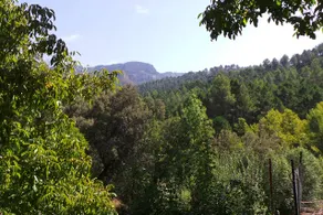 Disconnect in the Valley of Tus - Image 3