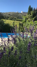 cottage with private swimming pool - Image 3