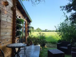 Treehouse - Image 5