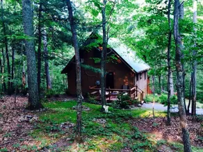 Moss Hill ~ Cozy Cabin w/Hot Tub & Fast Wi-Fi! - Image 5