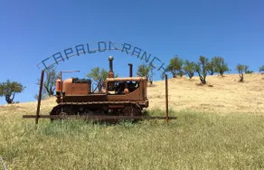 Hilltop Retreat. Spacious house on alpaca ranch. - Image 2