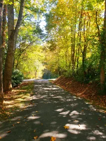 Amazing view! Heart of All Things Smokies Near WCU - Image 4