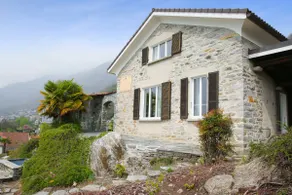 Lucertola Brione - enjoy the view. - Image 3