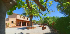 Alcoraia - Image 2