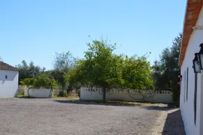 Monte da Boavista - Country family house - Image 5