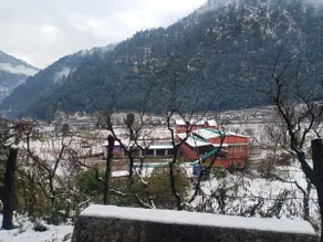 Sunrise Homestay Peach Valley Ramgarh Nainital - Image 4