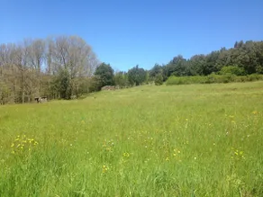 Le Pianelle - Image 5