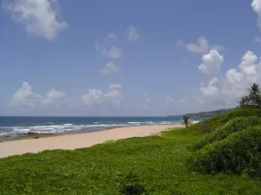Beach House on East Coast - Image 2