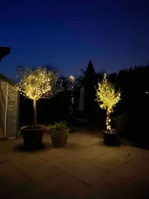 Family-friendly, entire house - Image 5