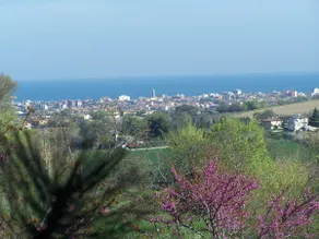 Villetta le Rose - Image 4