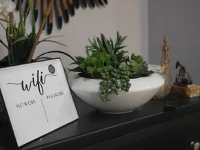 Cute, Cozy, Calm, Rare find - Image 2