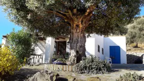 Charming house in Andalusia 10 minutes from the beaches - Image 5