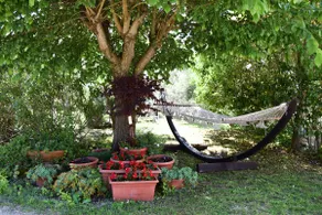 Residenza degli Ulivi 43 – Conero, Ancona - Image 2