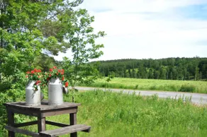 Fully renovated charming guest house in a Småland idyll. - Image 5