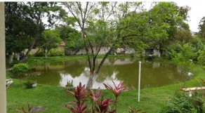 Amazing farm for your family to relax. - Image 2