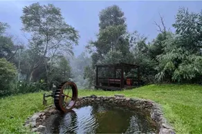 Godofredo Müller Site: Peace in the Santa Catarina Mountains - Image 2