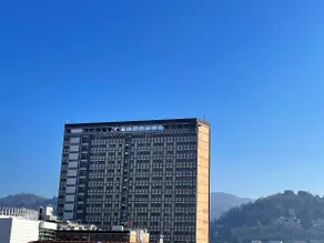 La Perla, near hospitals, the Lingotto Fiere convention center, and the metro - Image 3