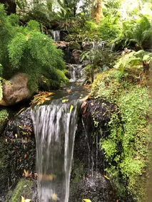 Albion Gardens - Mins to City - Free EV charging - Image 5