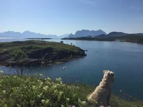 Experience island life from Nikolaibrygga in Gildeskål - Image 4