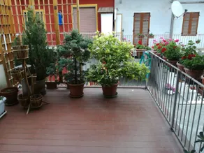At Grandma's house - Image 5