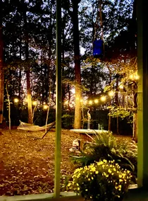 Studio Apartment on 15 Acre Nature Reserve - Image 3