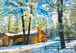 Rustic Private Cabin w/ Fireplace, BBQ & Fire Pit - Image 5