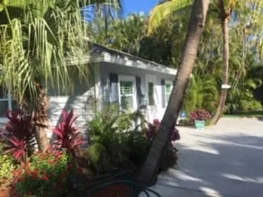 WHISPERING PALMS - Image 5