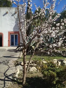Villa Diego - Image 3