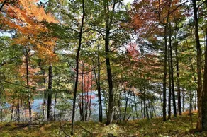 Private 88-Acre Retreat w/ Trails & Lake Views - Image 4