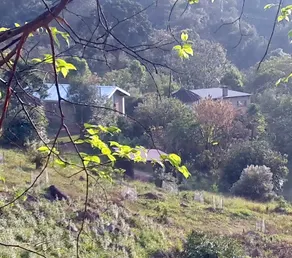 Narina Cottage - Image 3