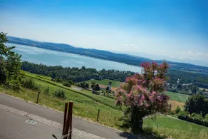 Living overlooking Lake Murten - Image 5