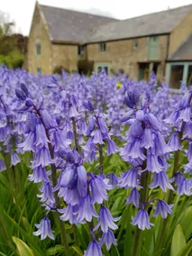 Fort View - 2 bed on edge of Cotswolds near Bath - Image 3