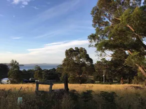 Wallaby Hollow | Between Bush & Sea - Image 5