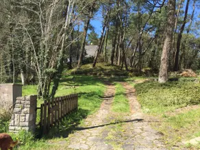 Condette-Hardelot, spaziosa villa su una pineta di 3000m2, foresta adiacente - Image 5