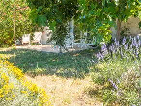 Nice cottage full of charm in a vineyard with large swimming pool - Image 2