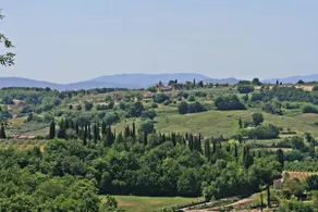 Casalecchi - Cottage between Siena & Florence - Image 5