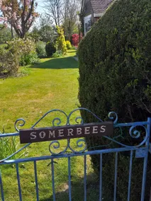 2 Bedroom Bungalow In Mockbeggar, New Forest Park - Image 2