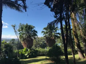 Alto Retreat - Wonderful view! - Image 4