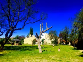 Exceptional villa 15 minutes from Plaza de Castilla - Image 2