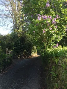 Primrose Cottage - Image 2