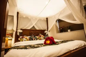 Located next to the Churaumi Aquarium! - Image 2