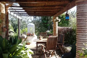 Rustic little house in Bunyola - Image 5