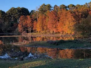 Sunset Point Fishing Lodge on Toledo Bend/WiFi! - Image 3