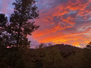 Treetops in North Asheville - Private & Convenient - Image 3