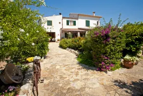 Beautiful house surrounded by orange trees - Image 5