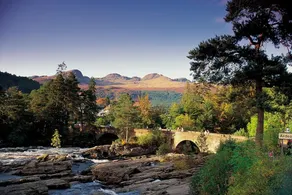 Woodland Pine Lodge by Killin, Loch Tay - Image 5