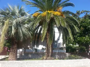 Apartment Palma 1 (140 m2) - Image 4