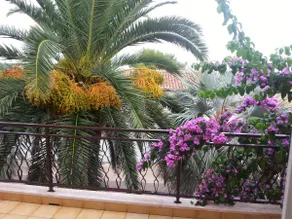 Apartment Palma 1 (140 m2) - Image 3