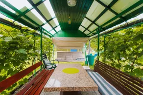 Green Paradise |2BR Suite•Panoramic Mountain Views - Image 2