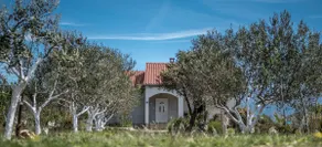 Entire house with garden near beach - Vrsi, Zadar - Image 2